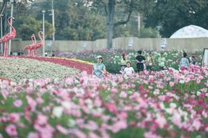 BIB: 
                            <button type="button" onclick="openModal(27343978)" class="btn btn-primary btn-sm float-right btn-popup" data-toggle="modal" data-target=".modal-high-quality">
                        <i class="fas fa-shopping-cart"></i> Add to Cart
                    </button>
                                            <button type="button" onclick="isThisMe(27343978, true)" class="btn btn-success btn-sm float-right btn-popup btn-isme hidden" data-toggle="tooltip" data-placement="bottom" title="นี่คือรูปของคุณใช่ไหม คลิกที่นี่เพื่อเอาเข้าอัลบั้ม">
                        <i class="fas fa-plus"></i> Add to album
                    </button>
                    <button type="button" onclick="isThisMe(27343978, false)" class="btn btn-warning btn-sm float-right btn-popup btn-isnotme hidden">
                        <i class="fas fa-ban"></i> Remove from album
                    </button>